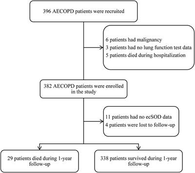Association Between Extracellular Superoxide Dismutase Activity and 1-Year All-Cause Mortality in Patients With Acute Exacerbations of Chronic Obstructive Pulmonary Disease: A Prospective Cohort Study